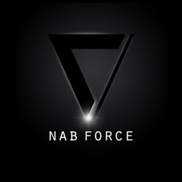 logodesign_napforce_ulrikehalvax_it_technik