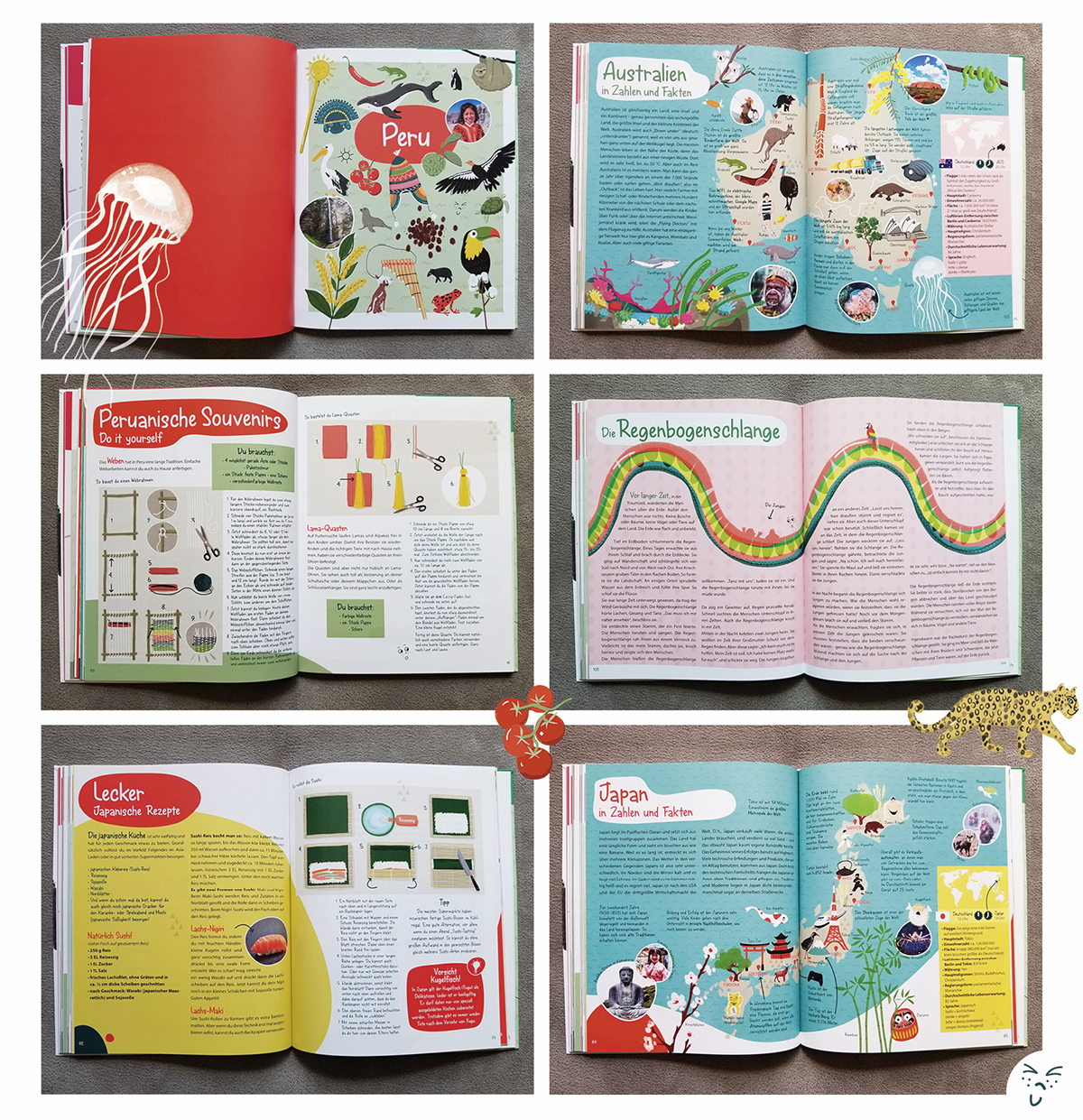 Sachbuch_cbj_buchgestaltung_ulrikehalvax_grafikdesign_illustration